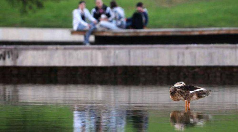El Parque Central se qued� sin patos: se los llevaron a Tunuy�n