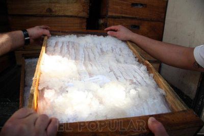 Proh�ben vender pescado congelado en Walmart y habilitan productos frescos
