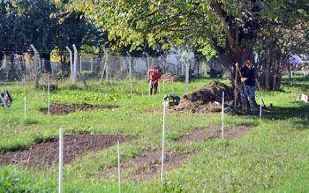 Hospital de D�a de Salud Mental: integraci�n a trav�s de la huerta