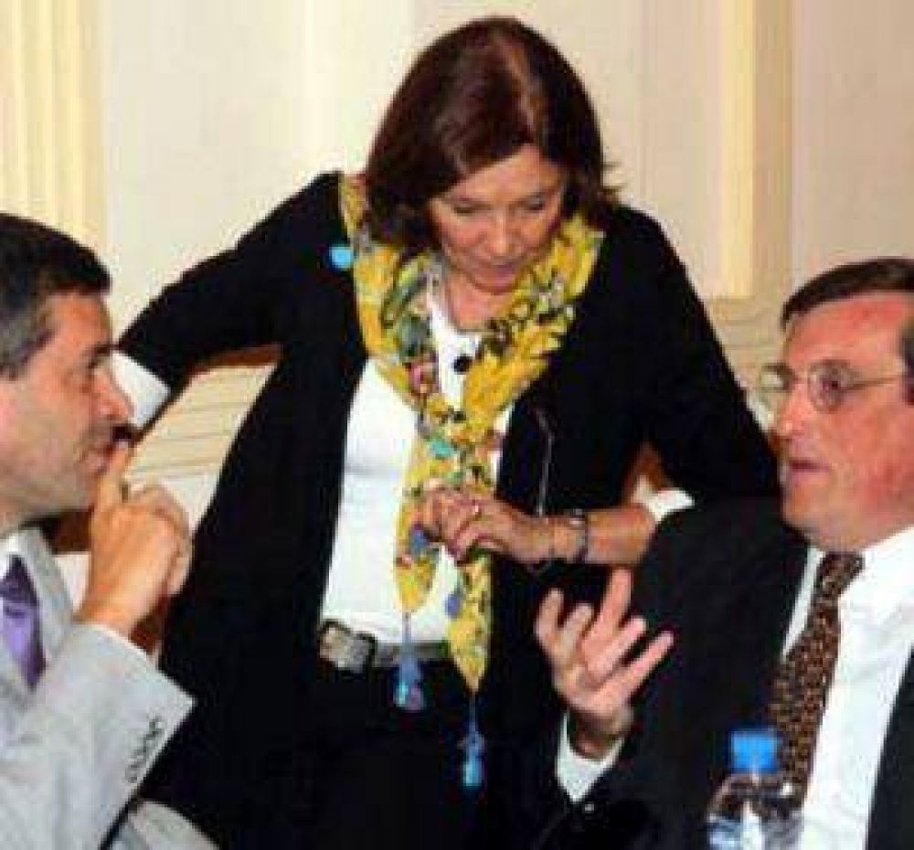 Una cuesti�n pol�mica que no tuvo el marco que se esperaba