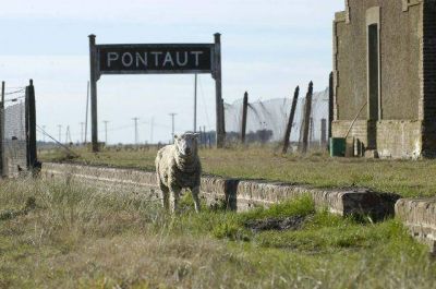 Robaron medio mill�n de pesos en un campo de General La Madrid