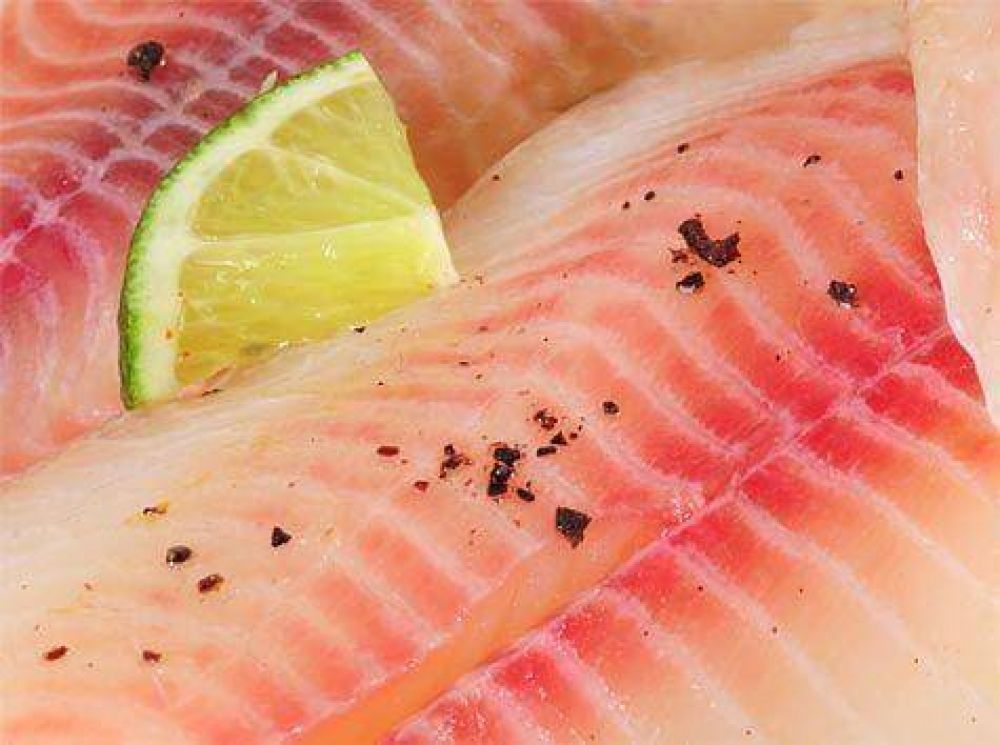 Consejos para el consumo seguro de pescado