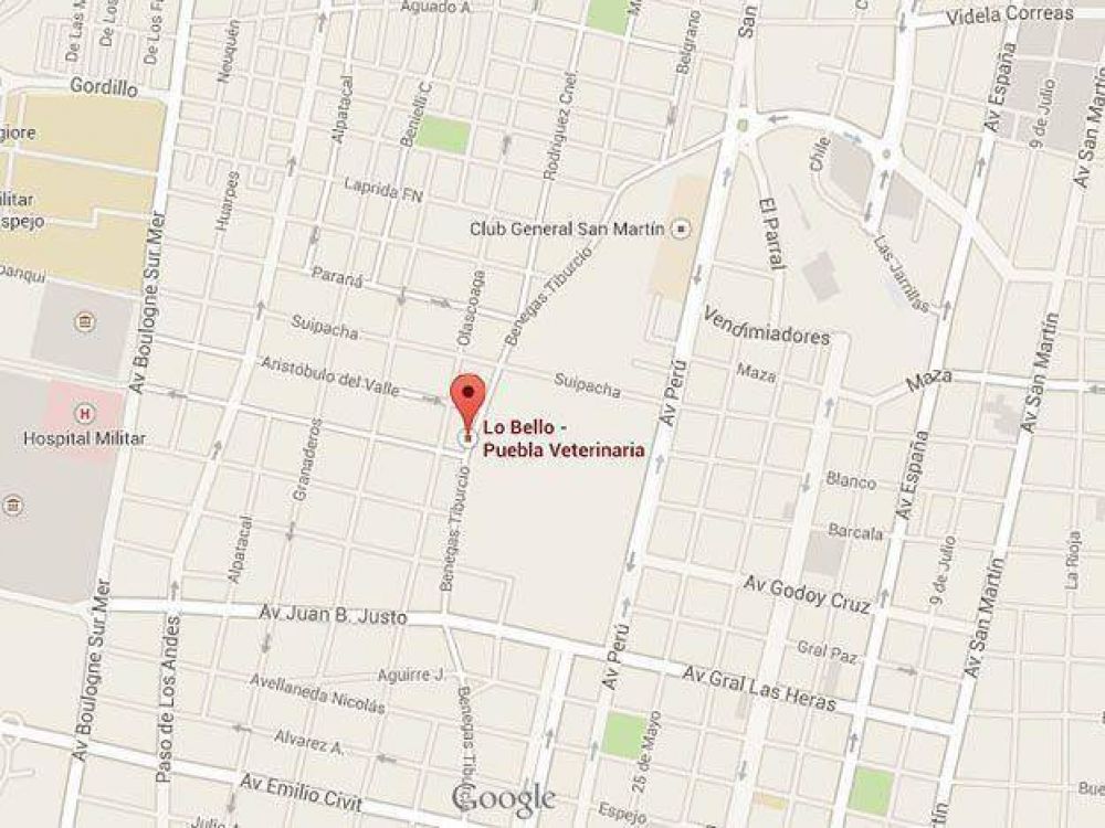 Dos delincuentes asaltaron una veterinaria de la Sexta Secci�n