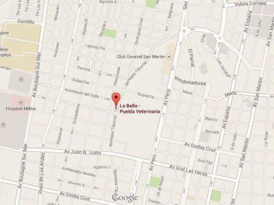 Dos delincuentes asaltaron una veterinaria de la Sexta Secci�n