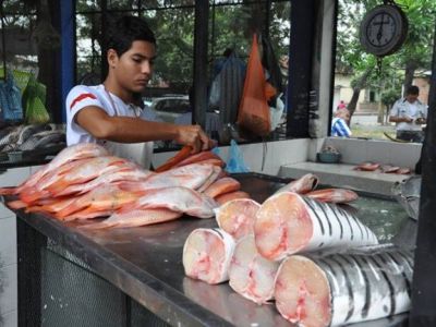 Advirtieron que no est� habilitada la venta ambulante de pescado