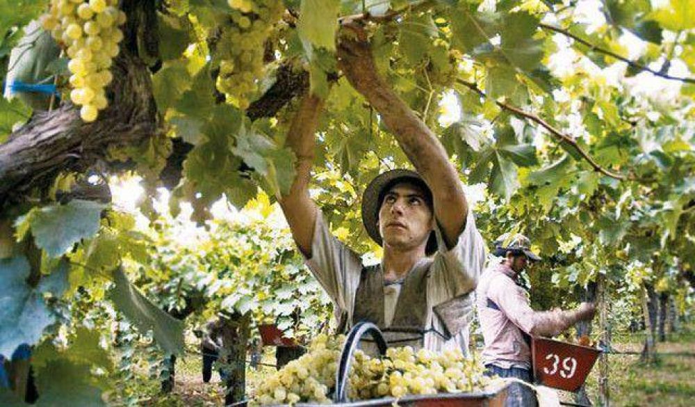 La cosecha termin� y la paritaria vitivin�cola no