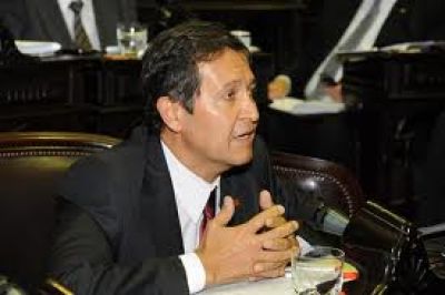 EL PROBLEMA DE LAS GARRAFAS LLEGAR� AL CONGRESO