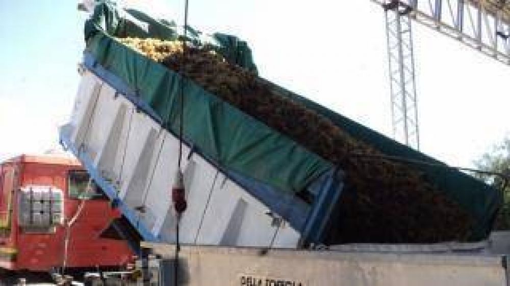 Destacan los resultados de la intervenci�n de la Provincia en los mercados de vid y membrillo