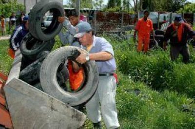 Oran: el 35% de las viviendas invadidas por dengue