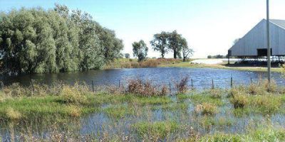 Campos inundados, menos rindes y pedido de �emergencia� en Jun�n