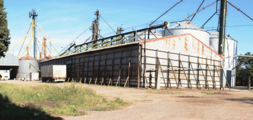 La deuda de la Cooperativa Agr�cola Ganadera ser�a de 30 millones de pesos 