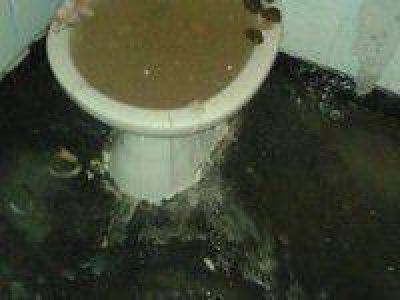 Una vivienda qued� inundada por residuos de una f�brica de pescado