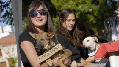 Los animales tienen su espacio: la feria de mascotas