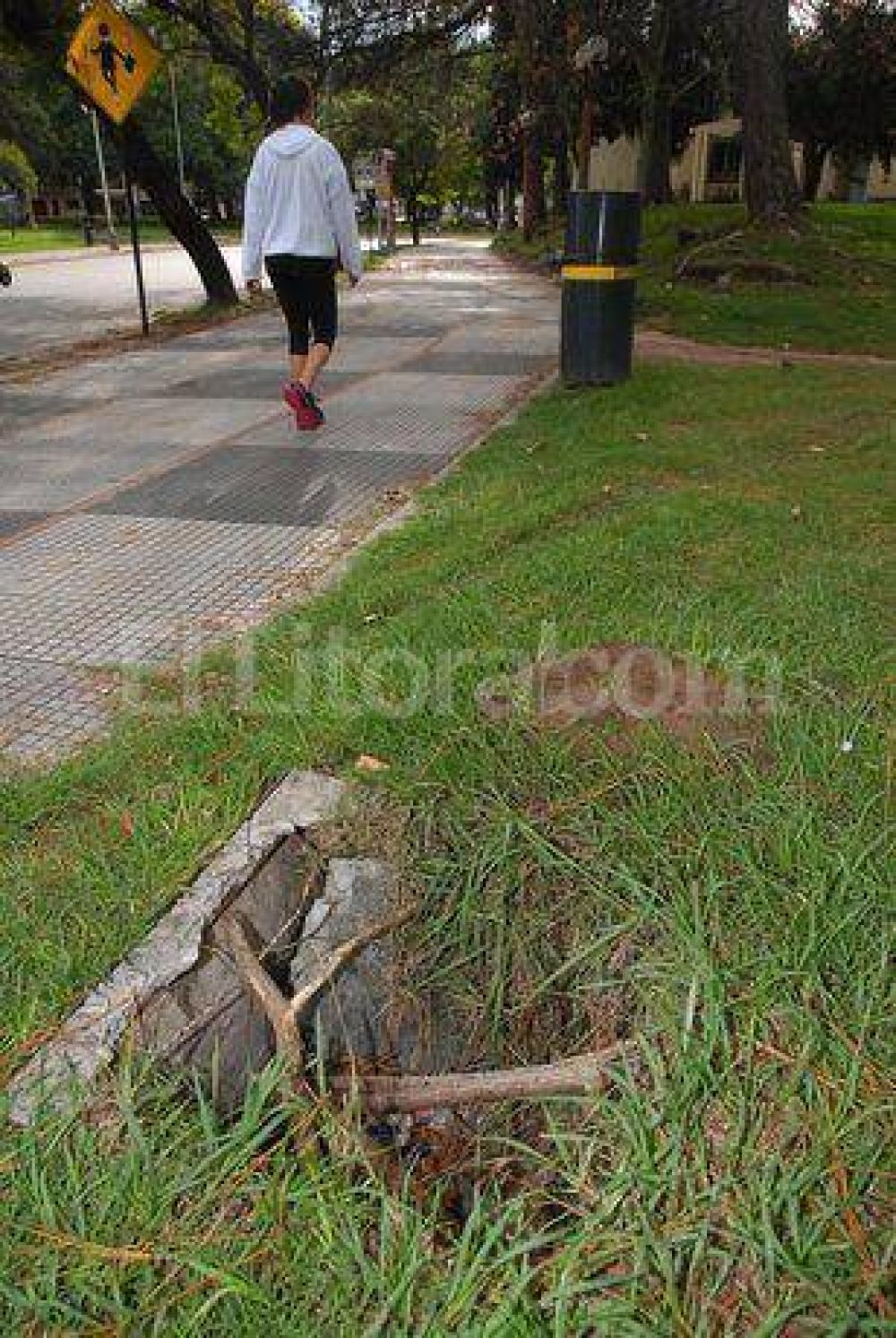 Parque del Sur: vandalismo y falta de mantenimiento
