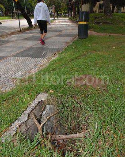 Parque del Sur: vandalismo y falta de mantenimiento