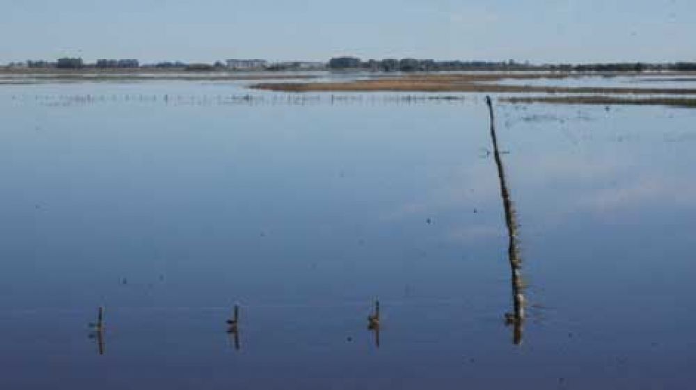 Varias hect�reas de Chivilcoy bajo agua 