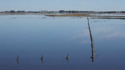 Varias hect�reas de Chivilcoy bajo agua 
