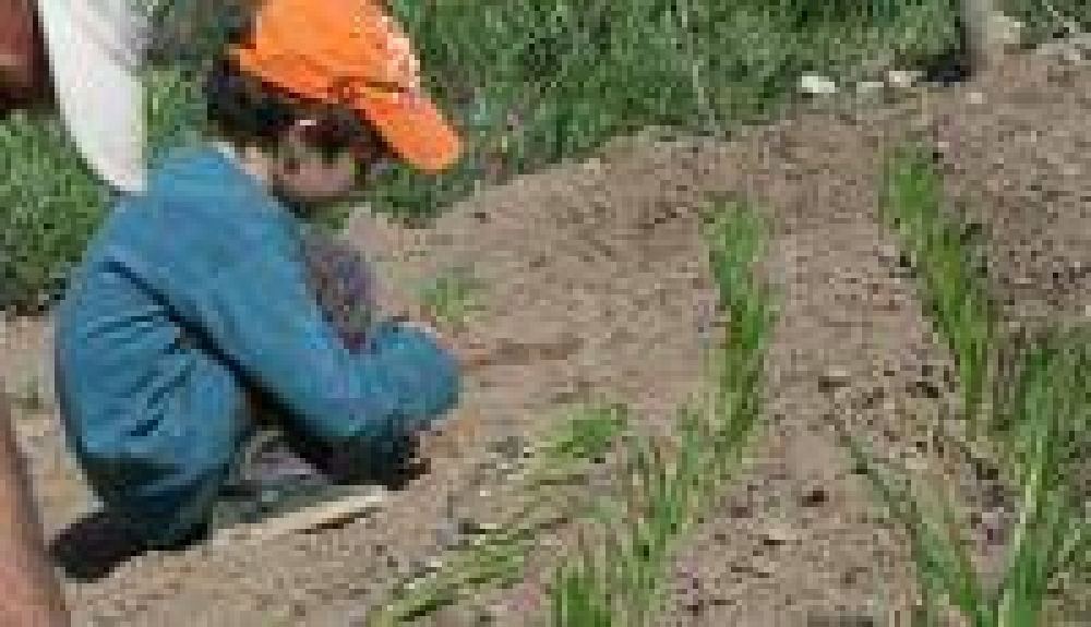 Ofrecer�n una disertaci�n sobre el �D�a de la Tierra�