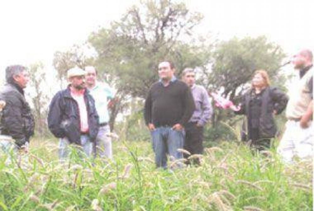 Amplio apoyo provincial a la producci�n caprina local