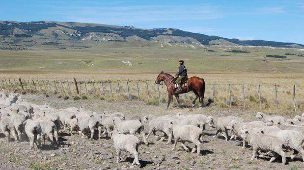 Chubut present� la estrategia provincial para el sector agroalimentario