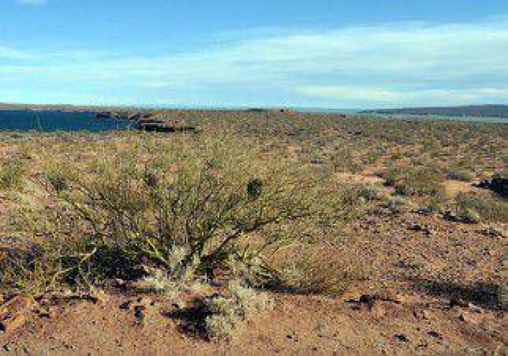 Neuqu�n y Centenario se disputan las costas del lago Mari Menuco 