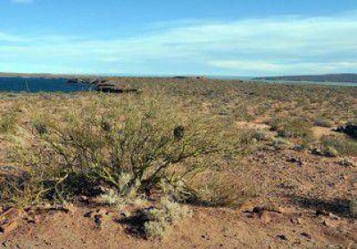 Neuqu�n y Centenario se disputan las costas del lago Mari Menuco 