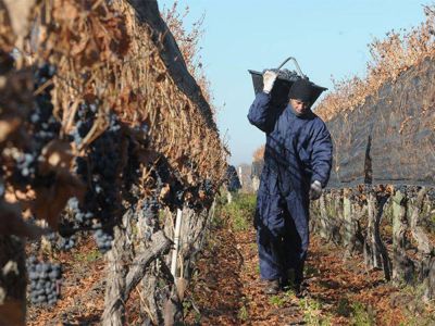 Trabajadores vitivin�colas sellaron un acuerdo salarial con las bodegas y recibir�n suba de 29%