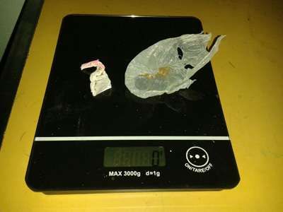 Encuentran a menor de edad con marihuana