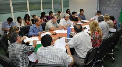 Diputados debatir� un proyecto de ley de procedimiento de adopci�n