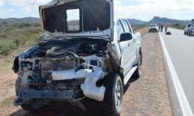 El intendente de Villa Uni�n embisti� un equino por ruta 76