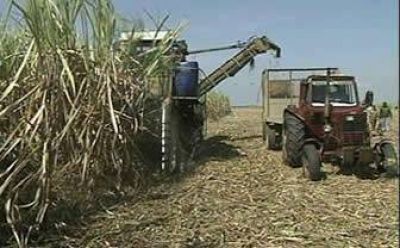 Nueva reuni�n para tratar paritarias del sector azucarero