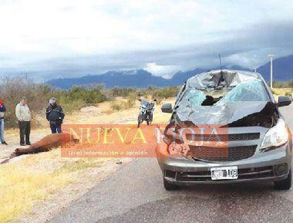 Dos mujeres salvaron sus vidas de milagro al atropellar a un animal suelto en la Ruta 75