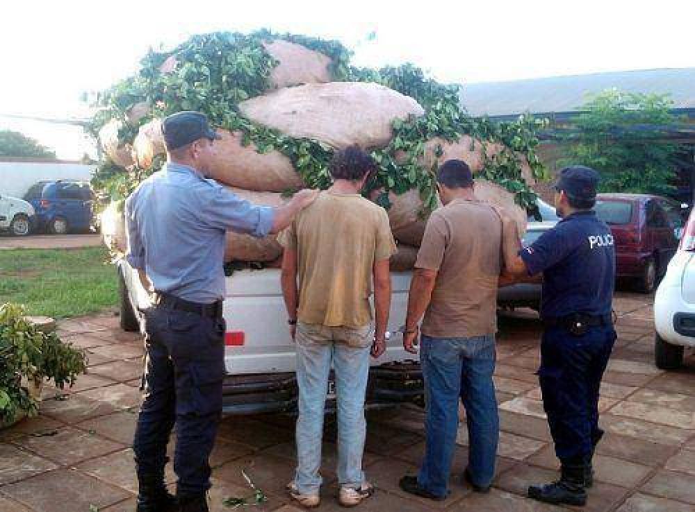 El Inym y la Polic�a articular�n acciones para bajar los �ndices de robo de yerba mate