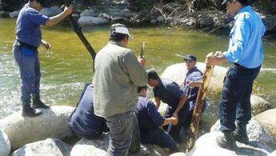 Encuentran restos �seos entre La Puerta y El Rodeo
