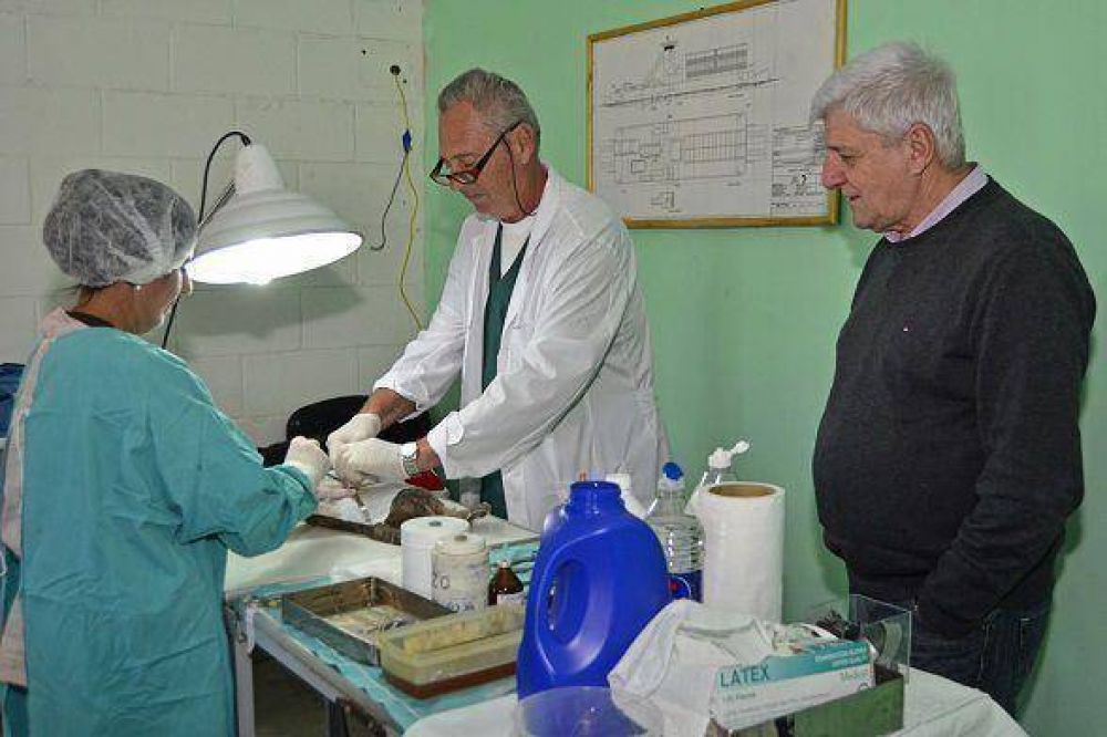 Andreotti en operativo de castraci�n y vacunaci�n de mascotas en la isla