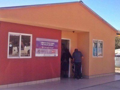 Operativo vacunaci�n antirr�bica