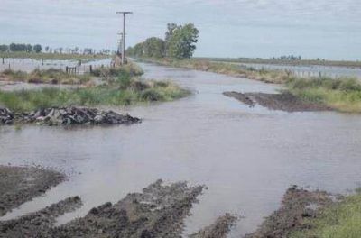 La inundaci�n a�n afecta a campos de San Justo