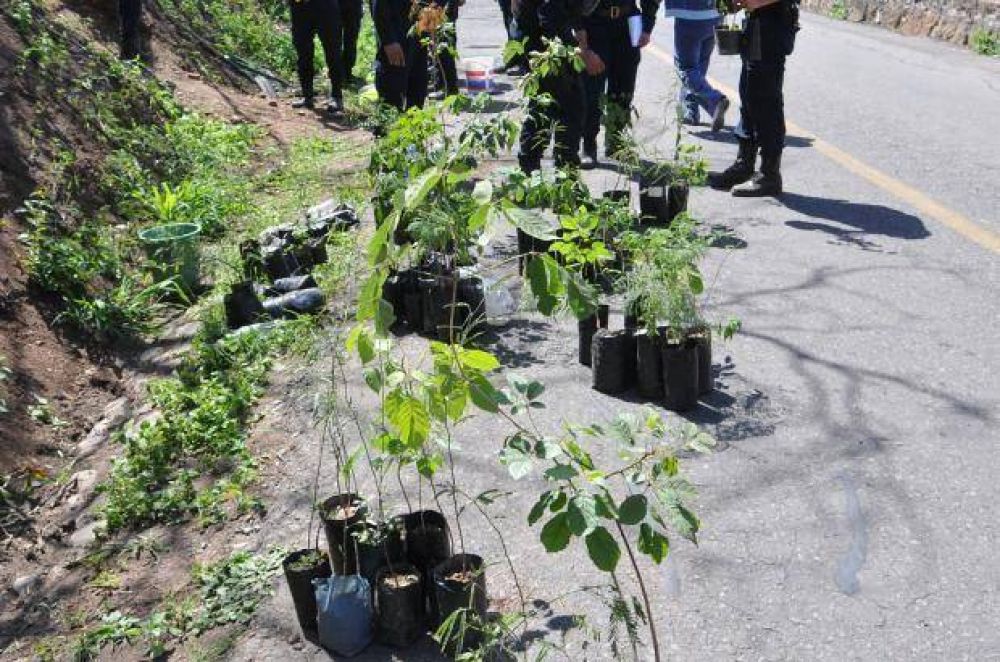 Plantar�n 300 �rboles en la avenida Circunvalaci�n Oeste
