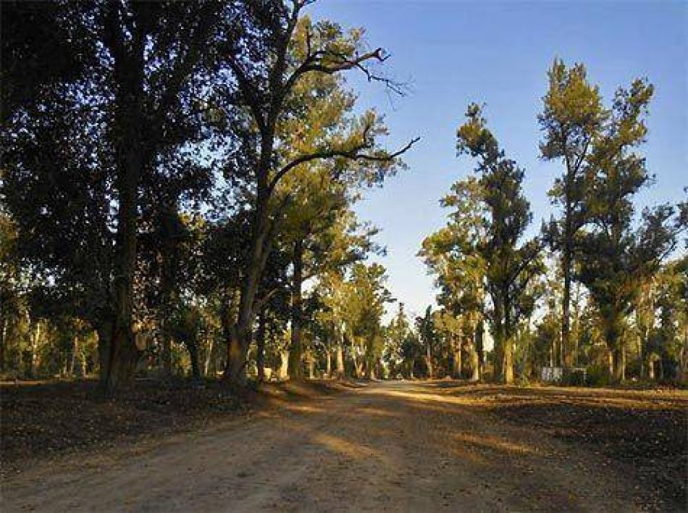 Nuevo barrio La Arboleda en Ca�uelas