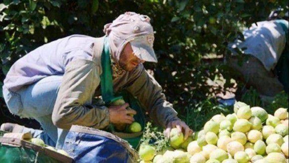 Misa por los trabajadores en la Catedral de Tucum�n