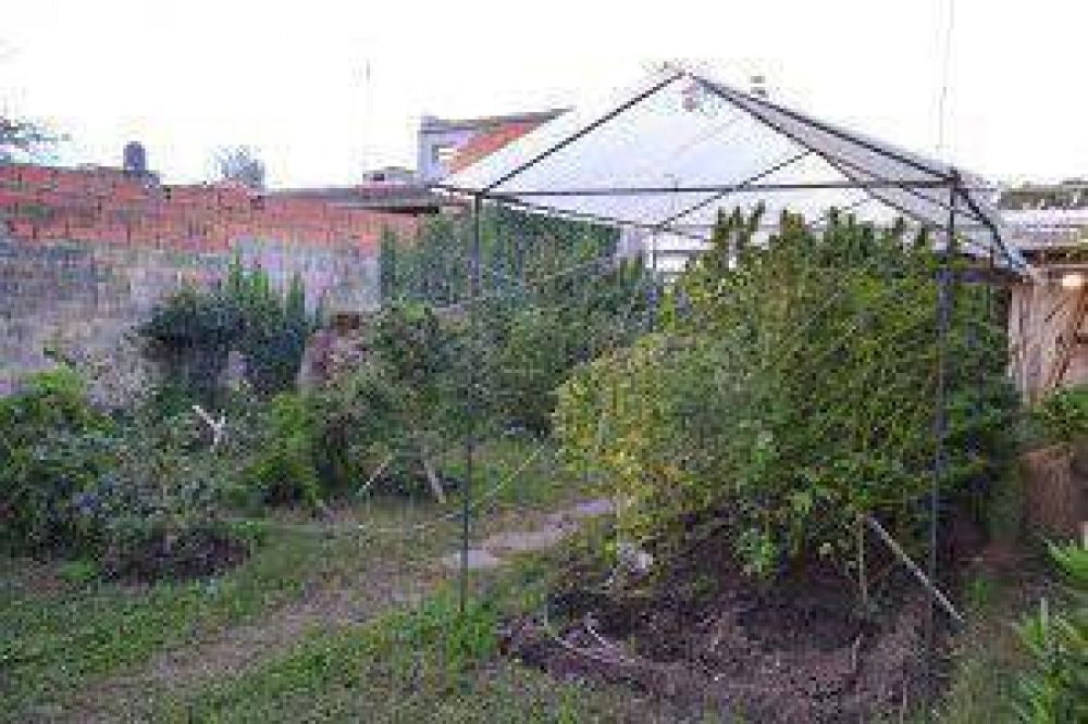 Desarticularon una banca narco y un laboratorio de droga en Ayacucho