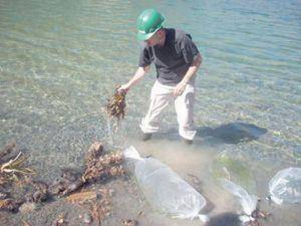  Siembra de peces en el Dique San Agust�n