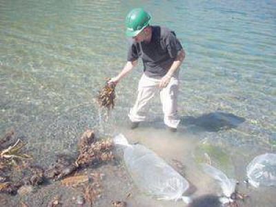  Siembra de peces en el Dique San Agust�n