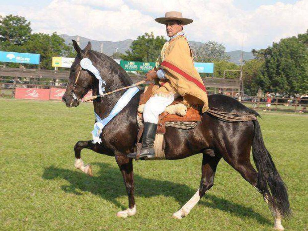 Salta espera el 33� concurso Nacional Peruanos de Pasos