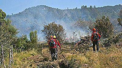 Se registraron 110 focos de incendio sofocados en la cordillera