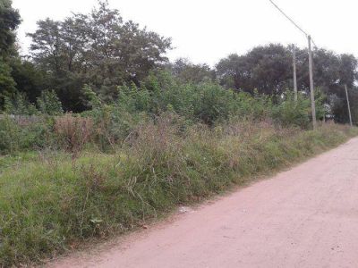 Terrenos bald�os y veredas �tierra de nadie?* (Proyecto de Comunicaci�n, Concejal Rodr�guez)