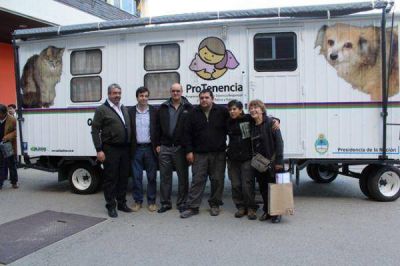 Zoonosis Ushuaia: Se realizar� una jornada por el D�a Mundial de los Animales
