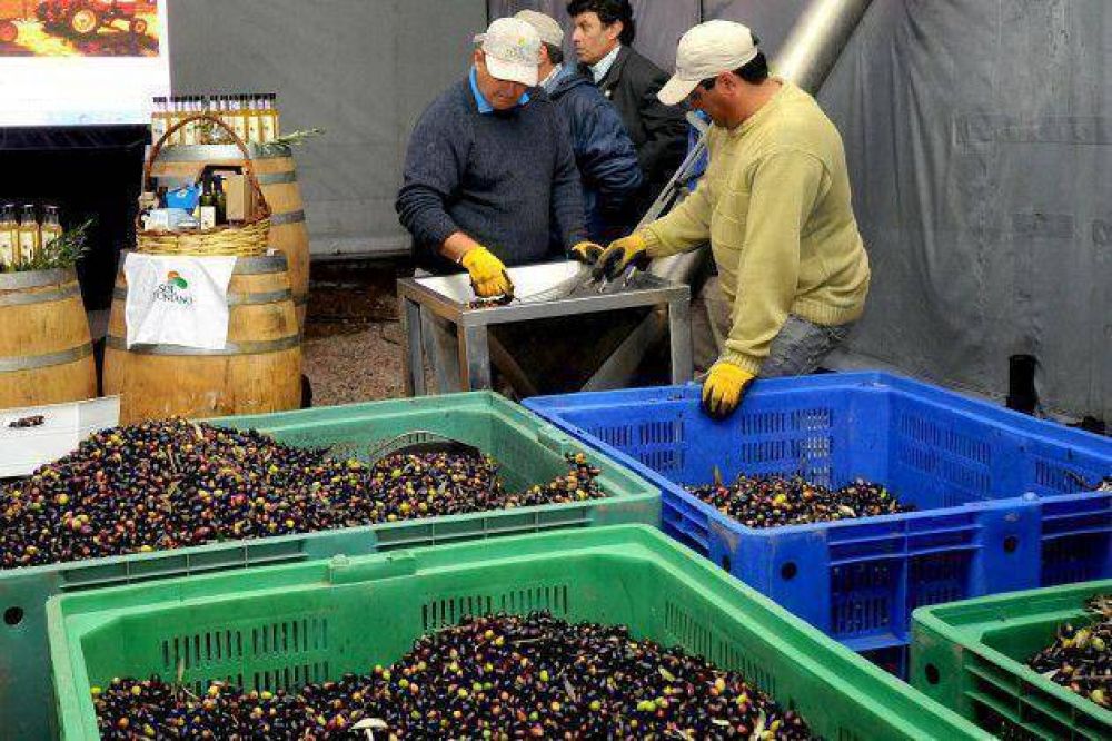 �El futuro de San Luis es la producci�n de alimentos�