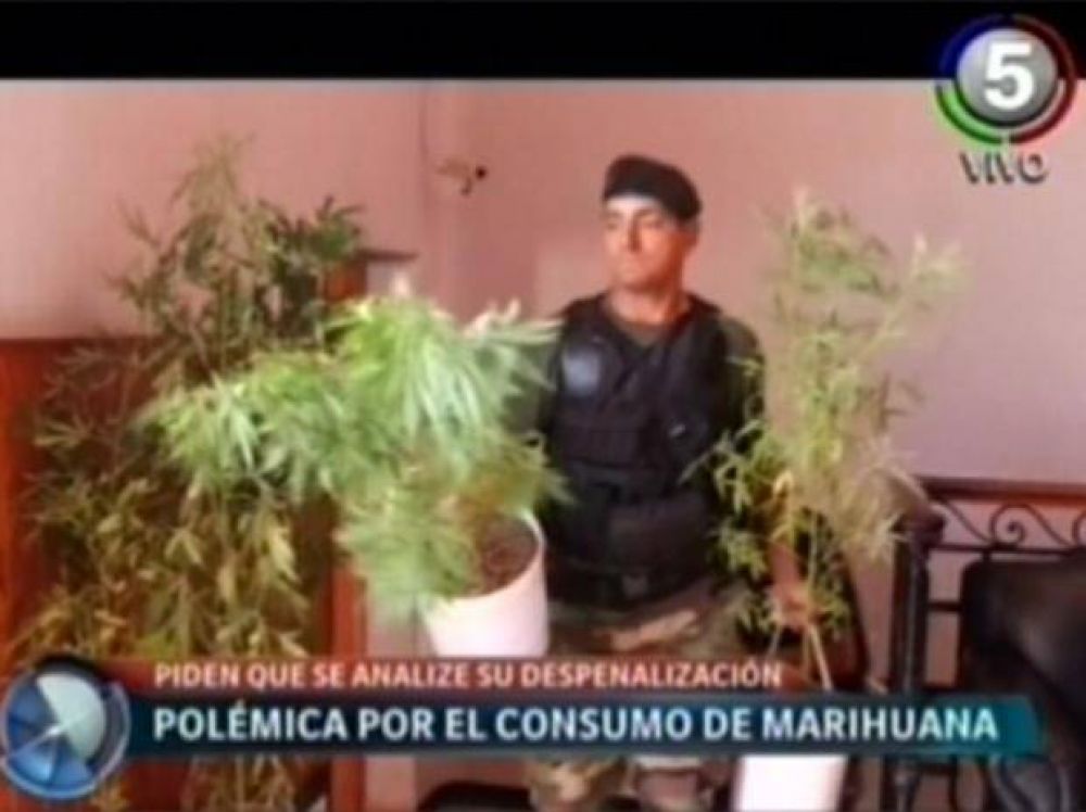 Apoyan en el Concejo la despenalizaci�n del consumo y autocultivo de marihuana