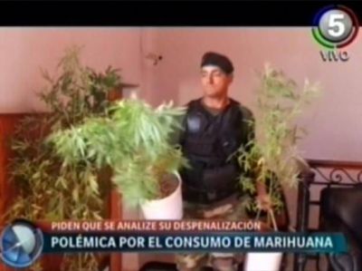 Apoyan en el Concejo la despenalizaci�n del consumo y autocultivo de marihuana